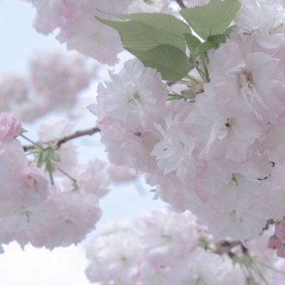 兽设零基础绘画教程福瑞交流群